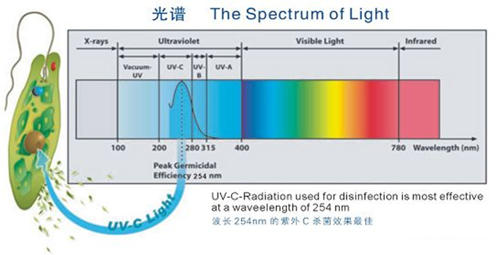科普！紫外線殺菌燈對(duì)人體影響及正確使用方法